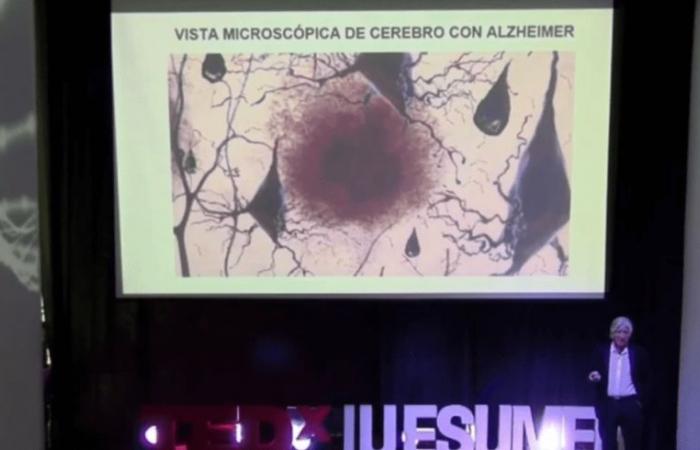Un groupe de l’Université d’Antioquia présente des progrès pour retarder l’apparition de la maladie d’Alzheimer
