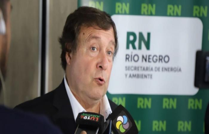 Río Negro : certificats « trucho » à l’État, une fraude de plus de 400 millions de dollars