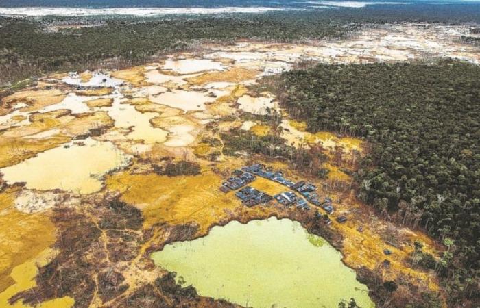 La demande mondiale insatiable d’or dévaste l’Amazonie au Pérou
