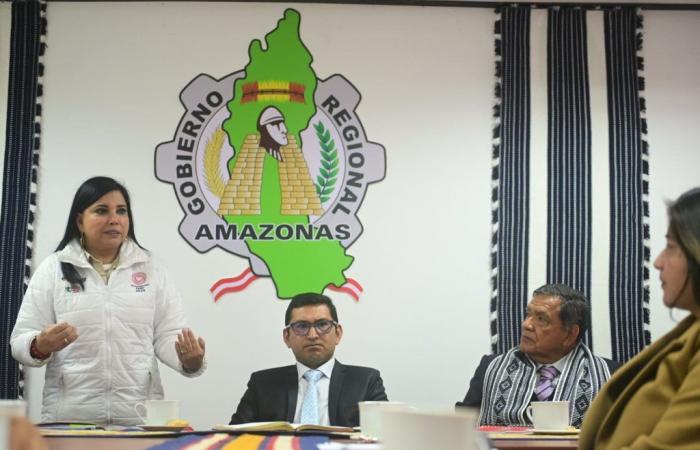Amazonas : Mincetur encouragera les efforts visant à augmenter la capacité de l’aéroport de Chachapoyas | informations