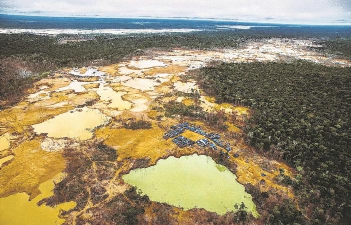 La demande mondiale insatiable d’or dévaste l’Amazonie au Pérou