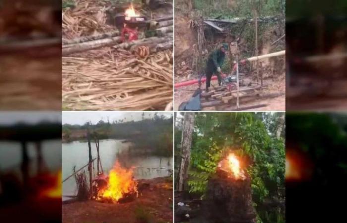 La FANB a détruit les outils utilisés pour l’exploitation minière illégale en Amazonas – Noticias de Aqui
