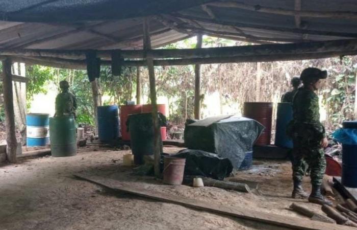 L’armée a détruit deux laboratoires du Clan del Golfo à San José de Uré