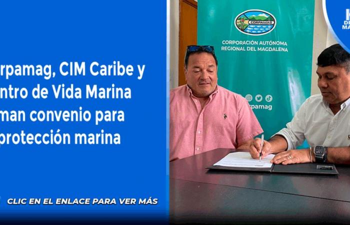 Corpamag, CIM Caribe et Marine Life Center signent un accord pour la protection marine
