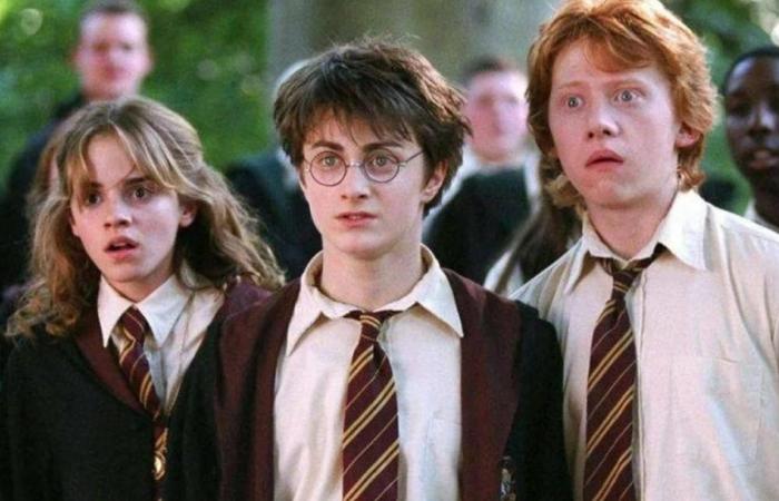 La toute première image d’Harry Potter mise aux enchères à New York