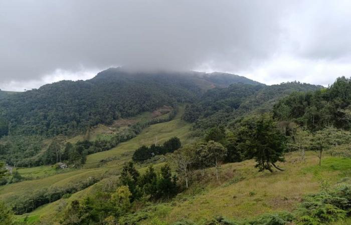 Cornare dépose un projet minier dans l’est d’Antioquia