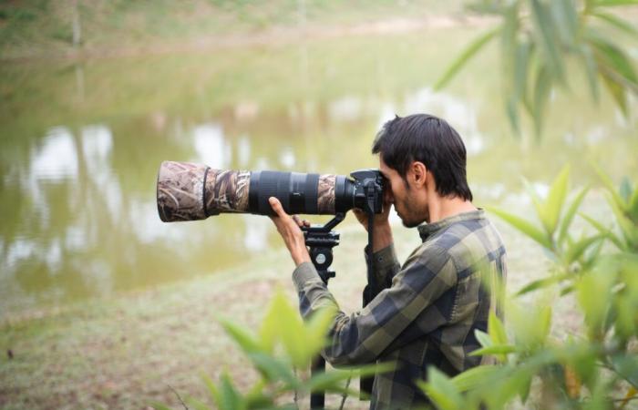 Jonathan Layton a photographié plus de 200 espèces d’oiseaux à Bucaramanga