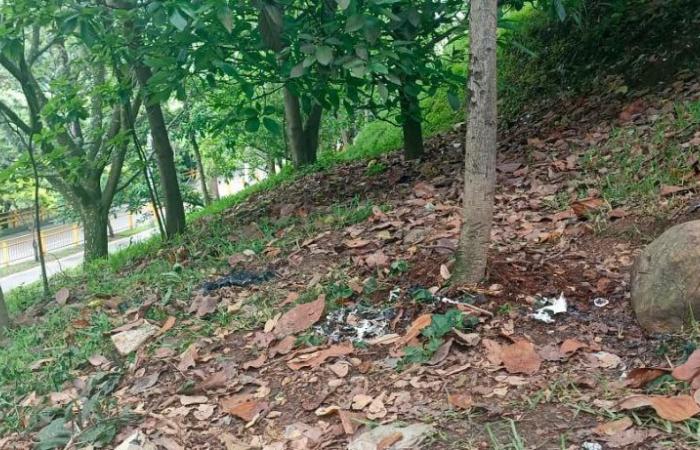 Ils ont trouvé une personne morte avec de multiples brûlures dans un espace vert du quartier Floresta de Medellín