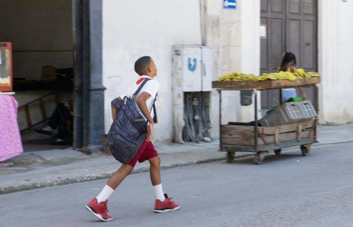La presse officielle reconnaît l’existence du travail des enfants à Cuba
