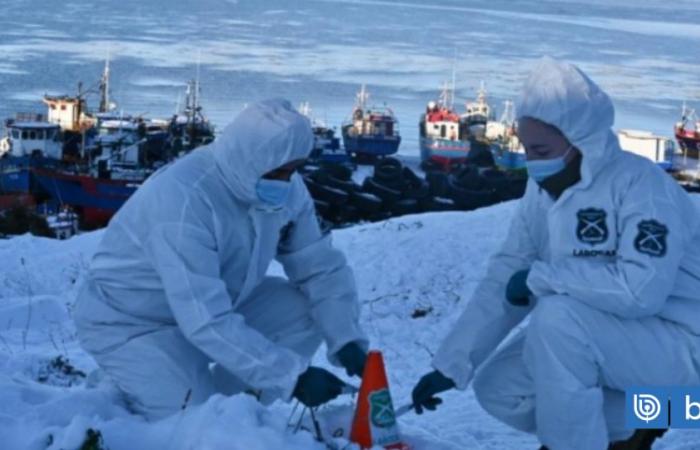 Ils trouvent un mort à moitié nu au milieu de la neige à Punta Arenas | National