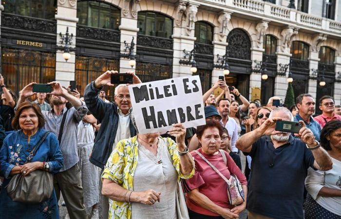 Répudiations et applaudissements : choc des concentrations autour de la visite de Milei à Madrid | Des centaines de manifestants rassemblés à la Puerta del Sol