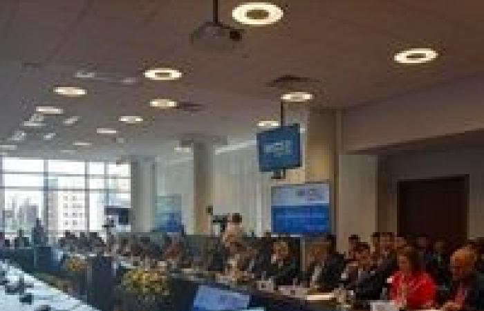 Cuba présente à la réunion des ministres des Sports des Brics