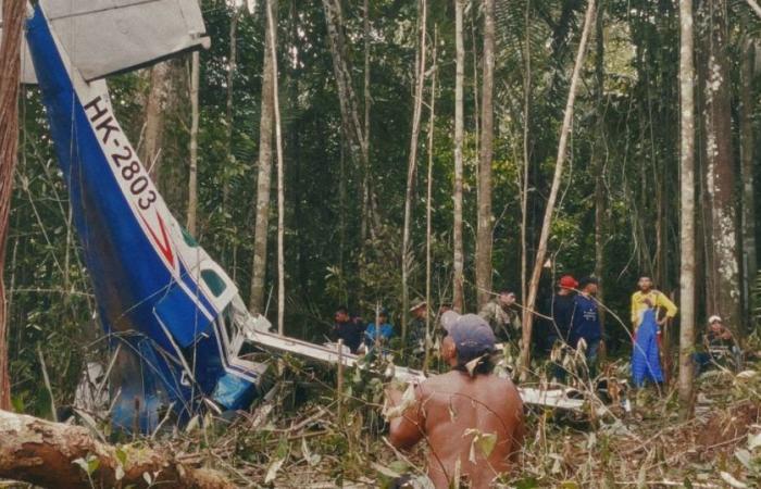 « Perdu en Amazonie » : MAX présente un documentaire sur la recherche de quatre frères perdus en Amazonie colombienne