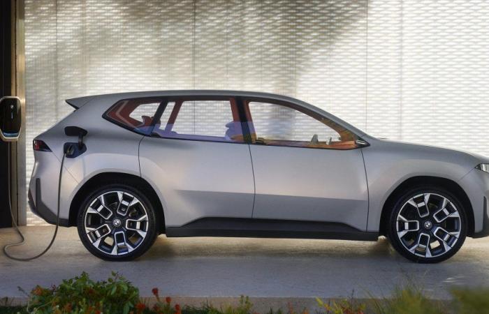 BMW va tout miser sur la « flexibilité technologique »