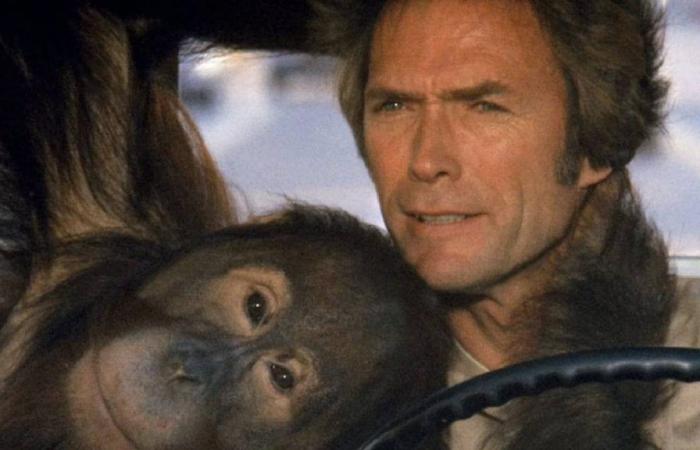 “Tout le monde m’a supplié de ne pas faire ce film” : Clint Eastwood a ignoré tout le monde et a remporté le meilleur succès de sa carrière – Movie News