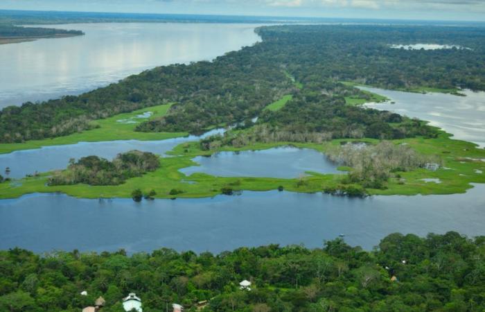 Lacs Tarapoto : quand le tourisme menace l’un des sites les mieux préservés d’Amazonie