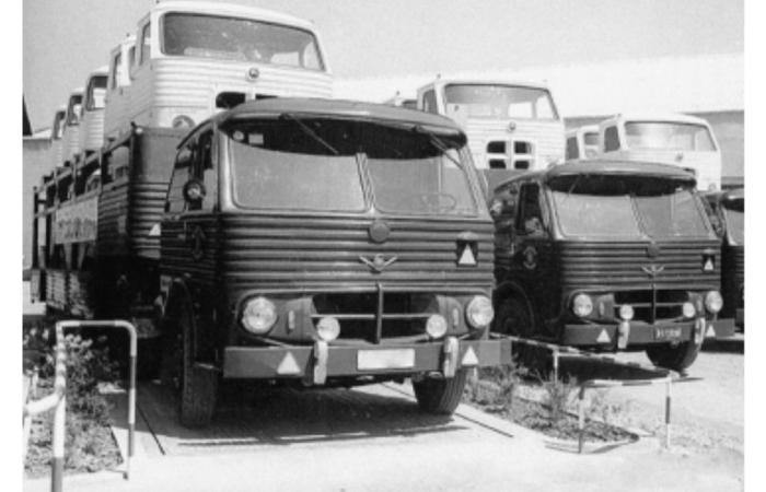 Avec les camions espagnols, cela a commencé chez Motorysa, le distributeur Mitsubishi et BYD