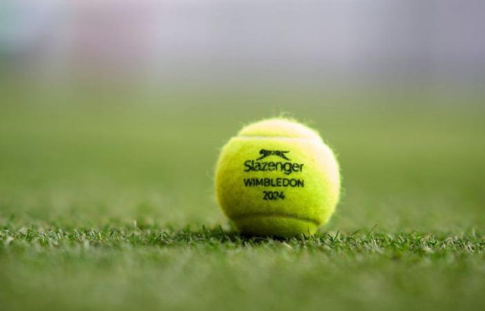 Wimbledon a fait match nul : combien de Sud-Américains jouent et quels centres se démarquent ?