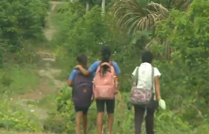 Amazonas : trois violeurs ont fui et une fille est forcée d’accoucher après une agression sexuelle, dénonce une enseignante d’Awajún