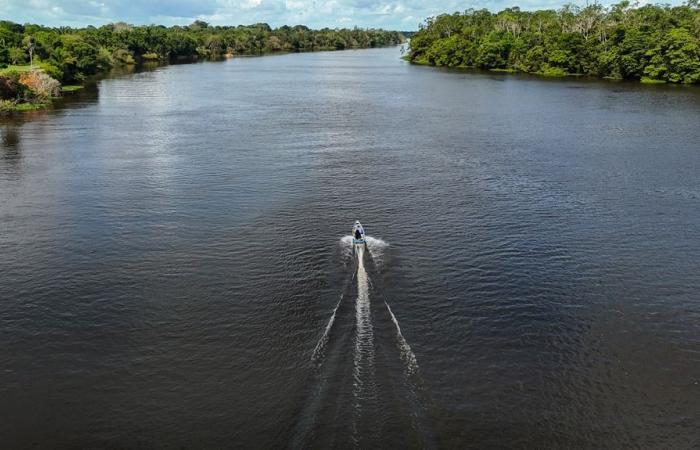 L’Amazonie brésilienne demande de l’aide face à une sécheresse imminente