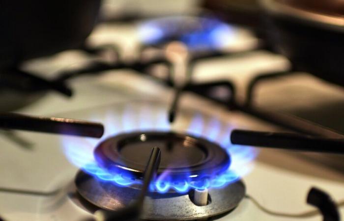 Arrêtez les tarifs élevés en Terre de Feu | Un jugement suspend la hausse du gaz pour trois mois