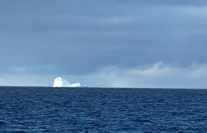 Un iceberg flotte près de l’île des États