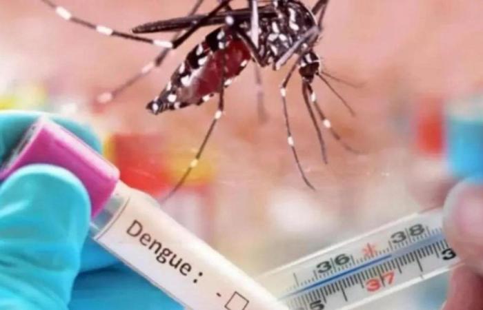 Alerte à Santa Marta pour 398 cas actifs de dengue