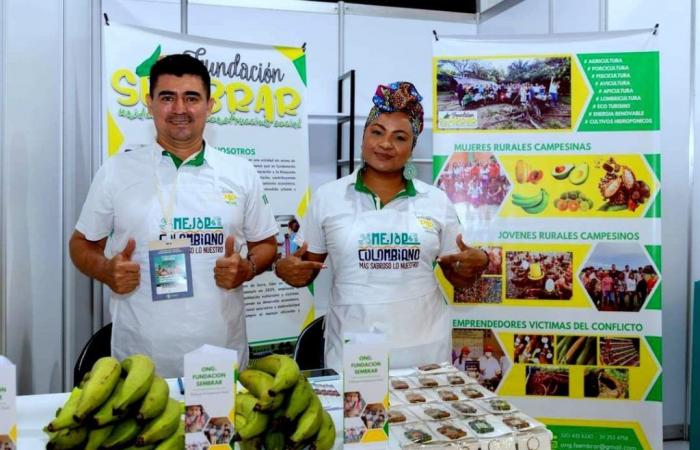 Les microentrepreneurs de Casanare ont participé à la Première Foire Paysanne et Communautaire de Corferias