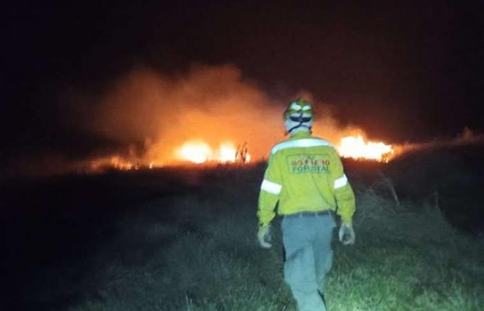 Les pompiers combattent neuf incendies de forêt à Santa Cruz
