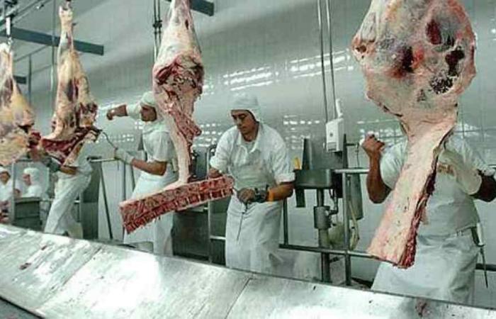 Cordoue a reçu 764,4 tonnes de viande à exporter vers l’Europe, 40 tonnes de plus que cette année