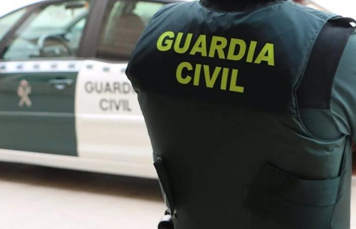Deux hommes résidant à Autol et Quel (La Rioja) arrêtés pour avoir volé dix tonnes d’oranges à Onda (Castellón)