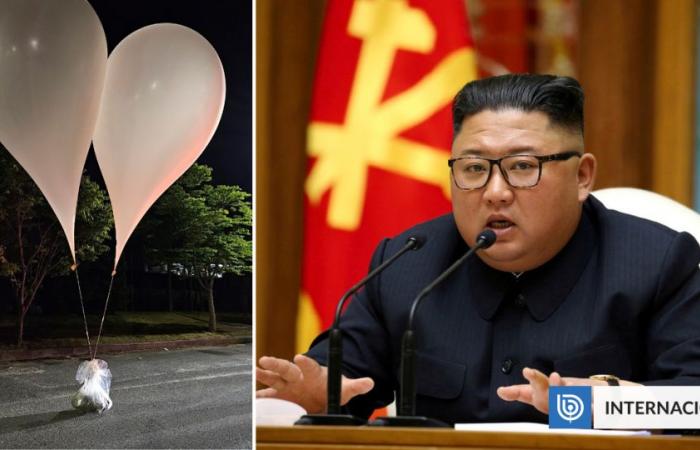 La Corée du Sud révèle la présence de parasites dans des ballons contenant des déchets envoyés du Nord | International