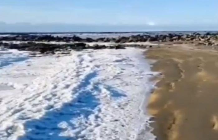 incroyable! La mer a gelé en Terre de Feu