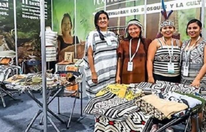 Minam : le programme Biobusiness intègre Amazonas, Ayacucho, Cusco, Huánuco et Ucayali | informations