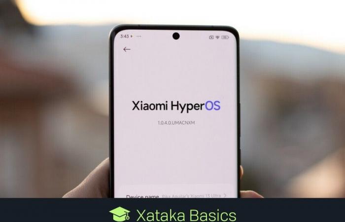 Comment accéder au menu secret de Xiaomi pour savoir si votre téléphone avec HyperOS fonctionne comme il se doit
