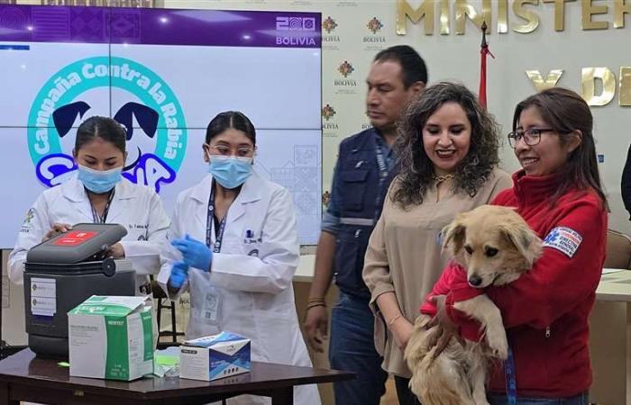 Lancement de la campagne de vaccination contre la rage canine ; 27% des doses sont destinées à Santa Cruz