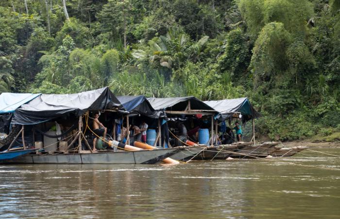 les peuples autochtones font face aux mineurs illégaux et aux groupes criminels en Amazonas