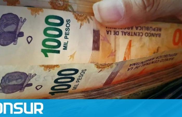 Río Negro a annoncé le paiement conjoint de la moitié d’une prime de Noël et des salaires à l’État – ADNSUR