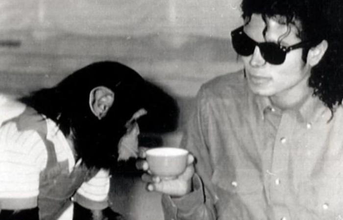Quelle est la nouvelle vie de Bubbles, le chimpanzé de 41 ans qui appartenait à Michael Jackson ?