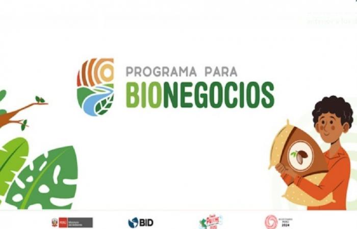 Minam : le programme Biobusiness intègre Amazonas, Ayacucho, Cusco, Huánuco et Ucayali | informations