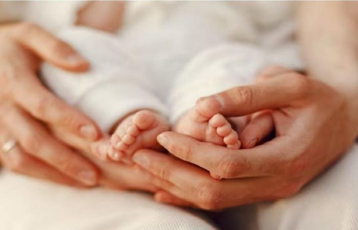 Sans aucun système de procréation assistée, des quadruplés sont nés à Cordoue