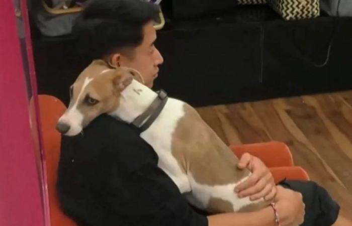 Une vidéo a été publiée qui montre comment va Arturo, le chien de Big Brother.