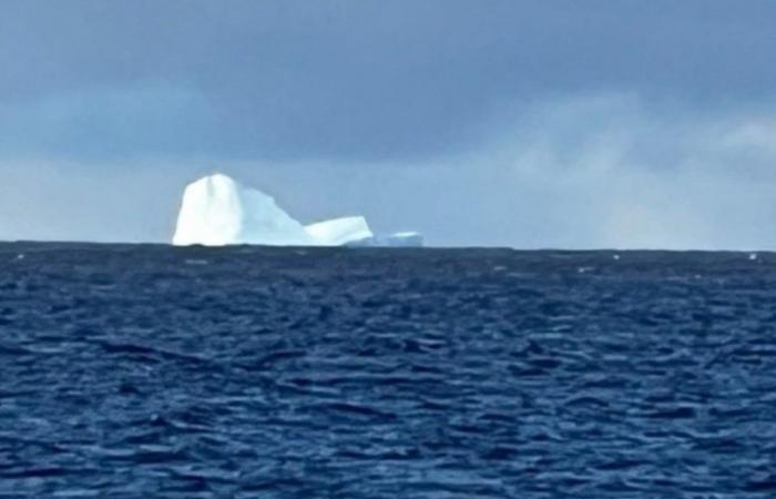 Un iceberg est apparu près de la côte de la Terre de Feu et ils ont mis les navires en alerte