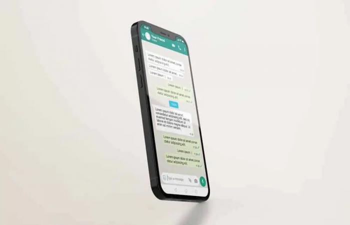 WhatsApp comme outil de connexion entre entreprises et consommateurs en Argentine – Paralelo32