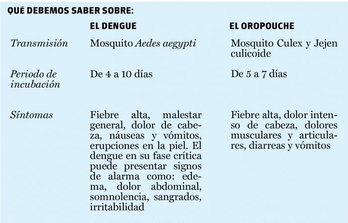 Avec la dengue et l’Oropouche, quelle est la situation épidémiologique à Cuba ? › Cuba › Granma