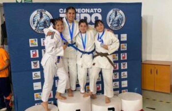 Brillante participation des judokas d’Atacameño dans la Zone Nord organisée à Antofagasta – Diario Chañarcillo