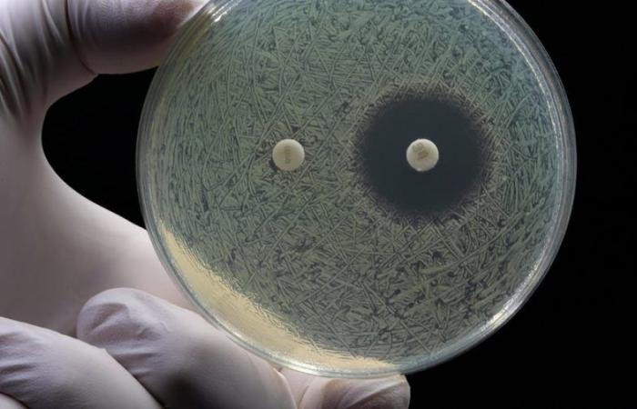 trois bonnes nouvelles dans la guerre contre les superbactéries