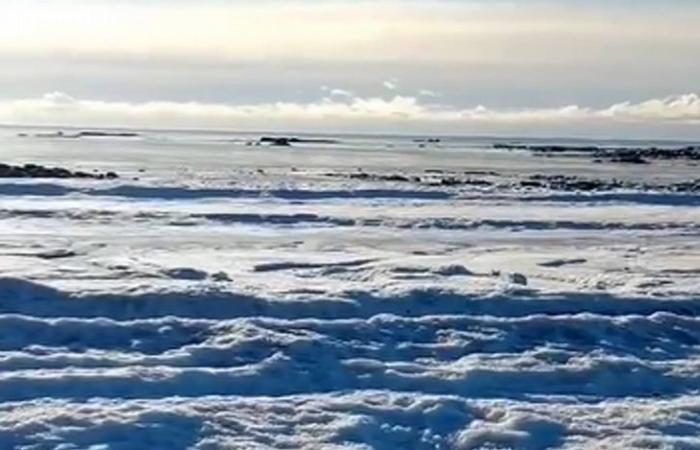 Froid extrême : la mer a gelé en Terre de Feu – Notes – Toujours ensemble