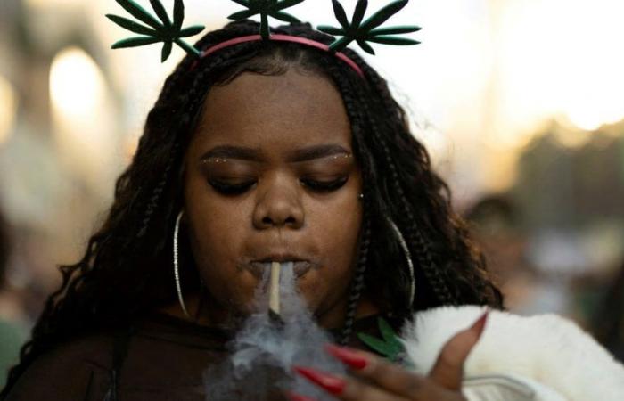 Le Brésil a décidé de décriminaliser le cannabis pour usage personnel