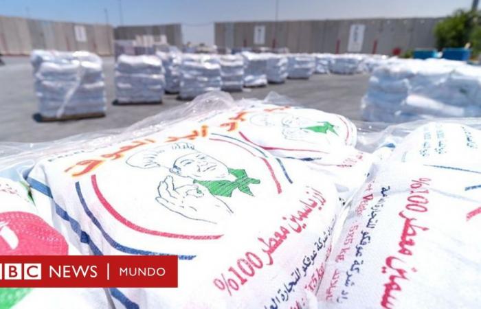 Les centaines de sacs de nourriture qui ne peuvent être distribués à Gaza et pour lesquels Israël et l’ONU se reprochent mutuellement